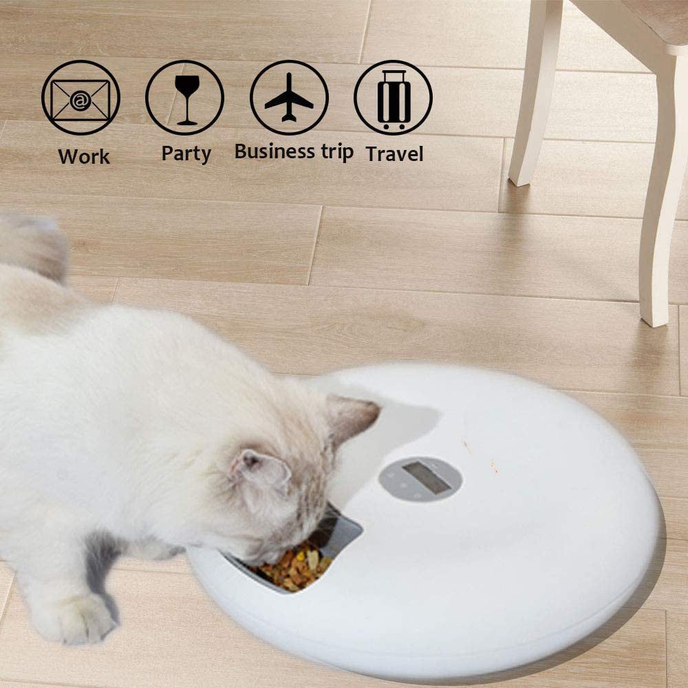 Petsomania Automatic Feeder for Pet Cats and Dogs