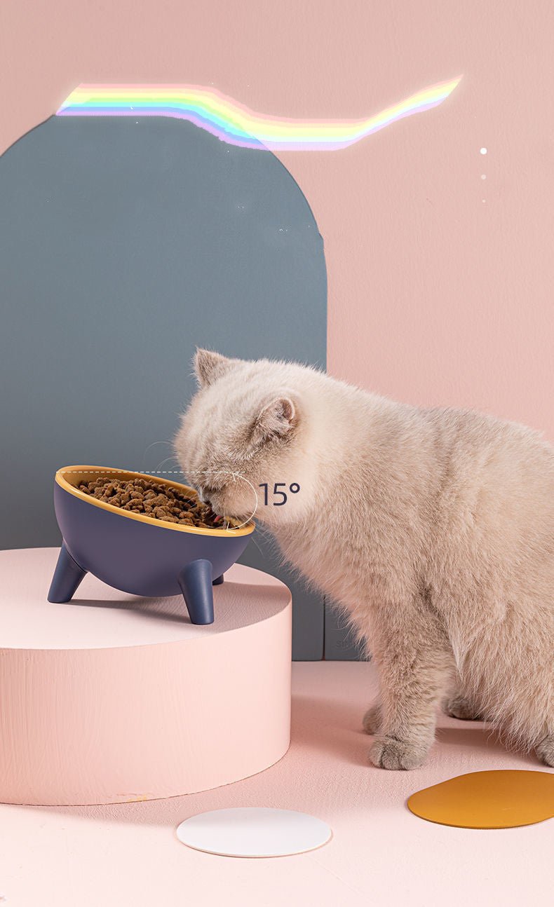 Nordic Elevated Pet Bowl with Tilted Stand