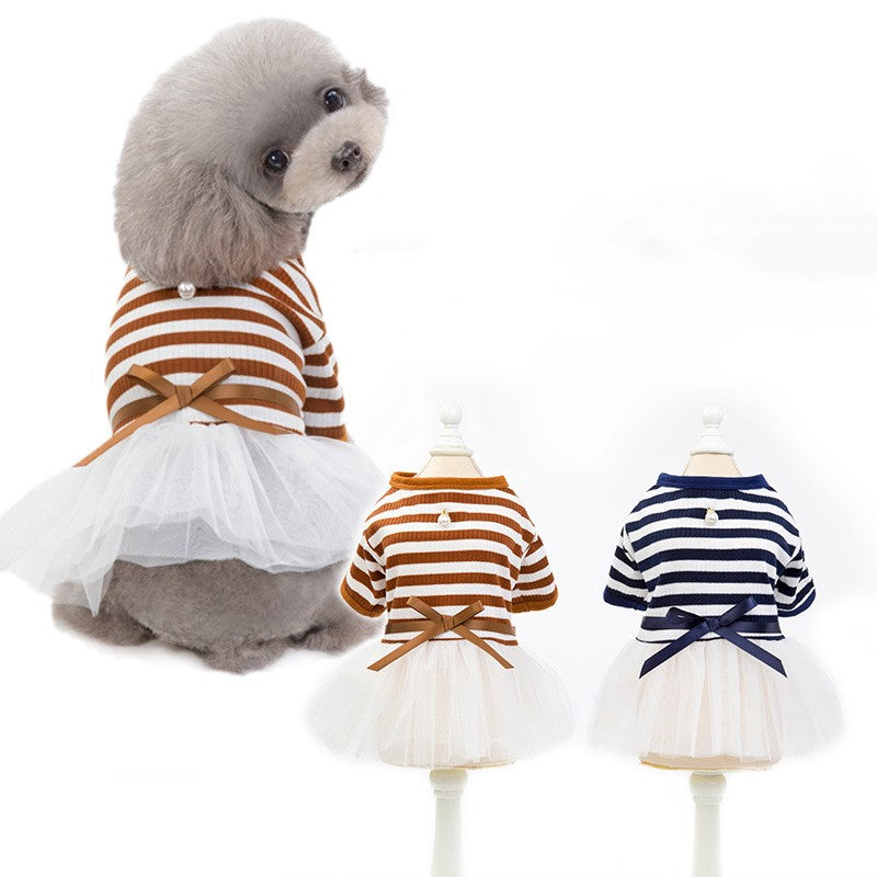 Teddy Bear Dog Dress for Small Dogs