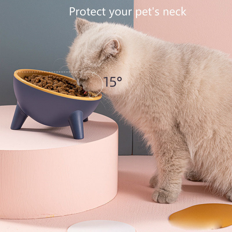 Nordic Elevated Pet Bowl with Tilted Stand