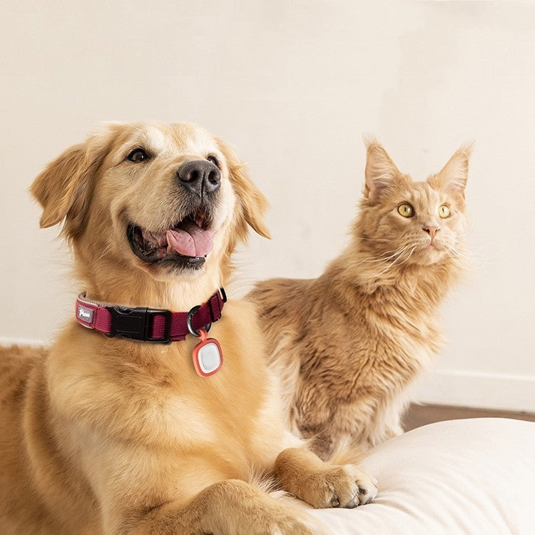Silicone Pet ID Tag QR Code Anti-Loss Card