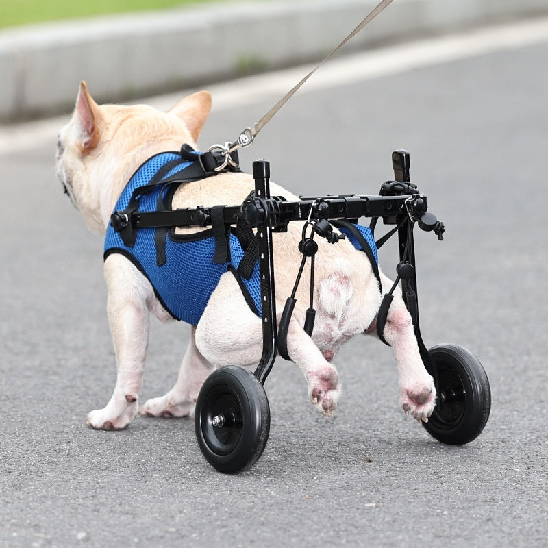 Adjustable Pet Wheelchair for Disabled Dogs
