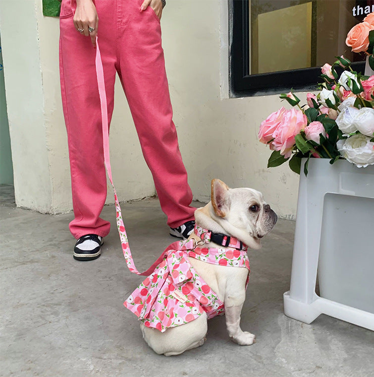 Princess Dog Dress with Matching Leash