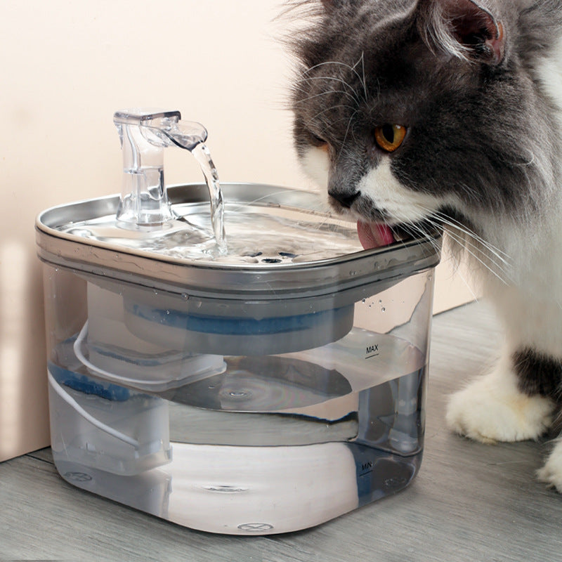 Stainless Steel Automatic Pet Water Fountain 2L