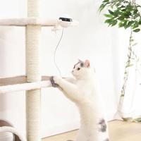Interactive Electric Motion Cat Toy with Feather Ball