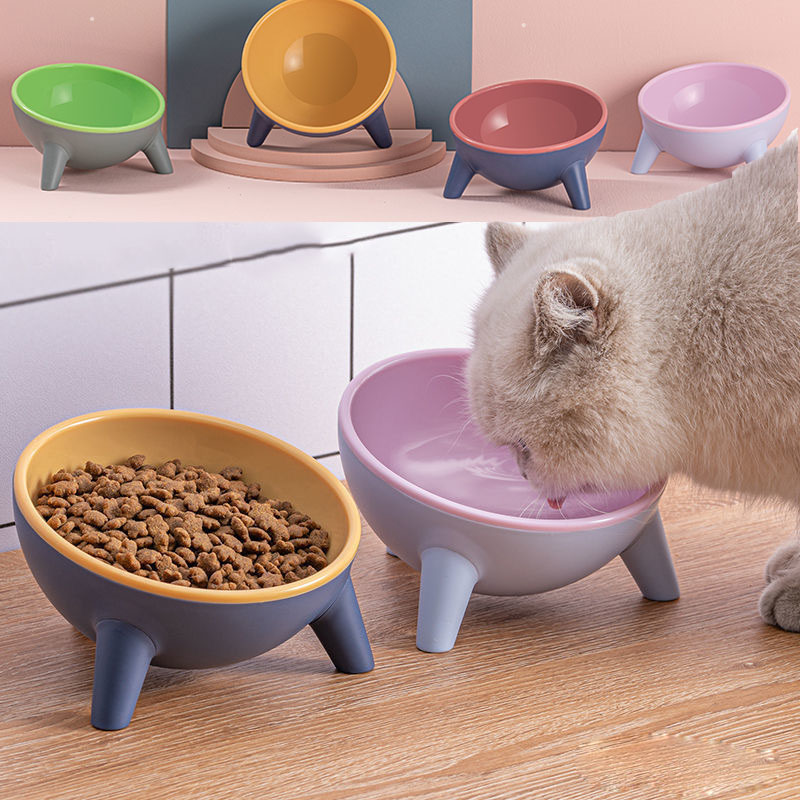 Nordic Elevated Pet Bowl with Tilted Stand