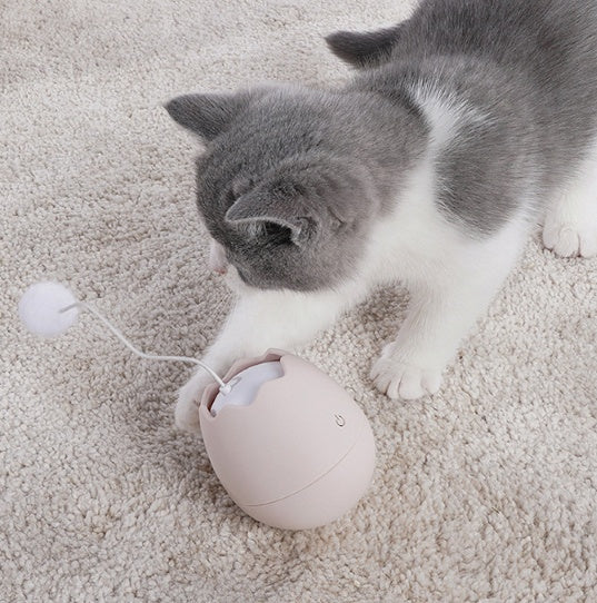 Interactive Funny Cat Toy Knot Ball
