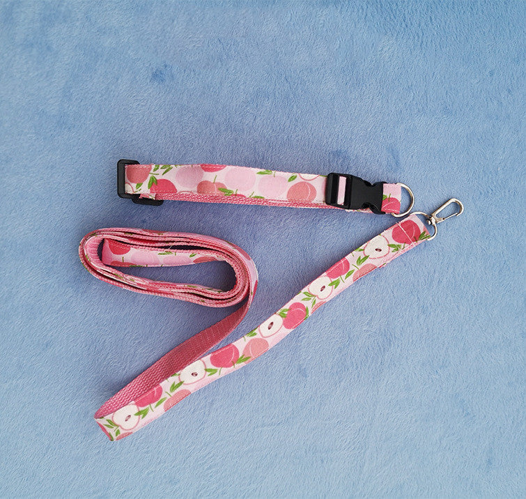 Princess Dog Dress with Matching Leash