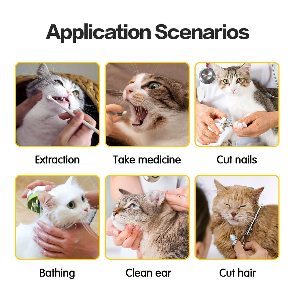 Anti-Scratch Cat Travel Bag – Soft Double-Lined Carrier