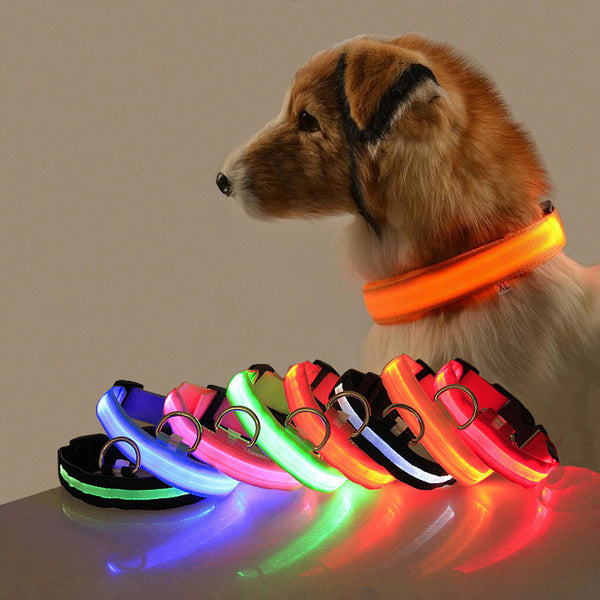 Petsomania Safety LED Dog Collar