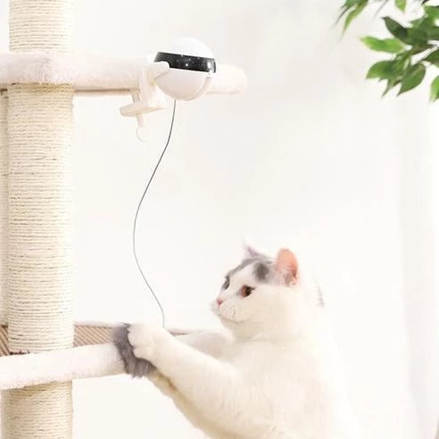 Interactive Electric Motion Cat Toy with Feather Ball