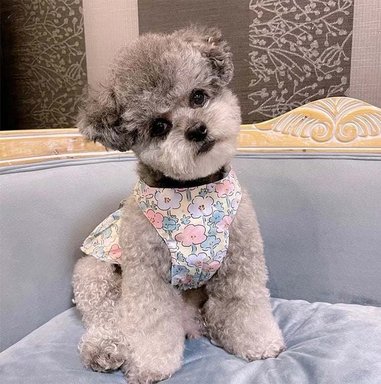 Princess Dog Dress with Matching Leash