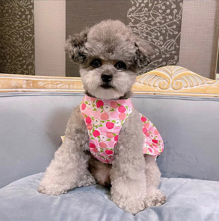 Princess Dog Dress with Matching Leash