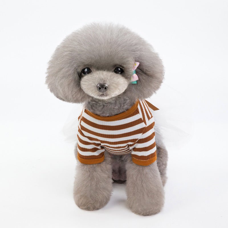 Teddy Bear Dog Dress for Small Dogs