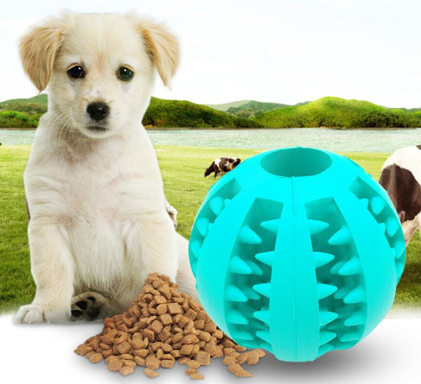 Slow Feeder Dog Toy